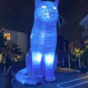 ヒメ日記 2025/09/27 19:29 投稿 雪美【ゆきみ】 輝女