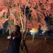 ヒメ日記 2025/11/19 16:06 投稿 雪美【ゆきみ】 輝女