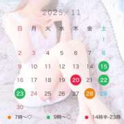 ヒメ日記 2025/11/21 12:02 投稿 雪美【ゆきみ】 輝女
