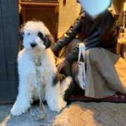 ヒメ日記 2026/03/06 14:00 投稿 雪美【ゆきみ】 輝女