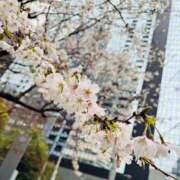 ヒメ日記 2026/03/25 20:39 投稿 雪美【ゆきみ】 輝女