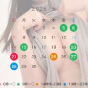 ヒメ日記 2026/06/07 15:31 投稿 雪美【ゆきみ】 輝女