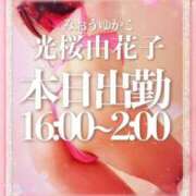 みおう スグご案内可能?? YDHやまぐちデリバリーヘルス（山口、新山口、防府、宇部）