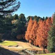 ヒメ日記 2024/12/14 01:54 投稿 黒木 シャトーペトラ