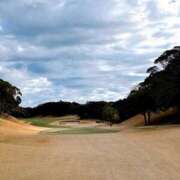 ヒメ日記 2025/01/18 01:52 投稿 黒木 シャトーペトラ