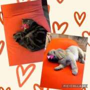 ヒメ日記 2025/01/20 23:51 投稿 黒木 シャトーペトラ