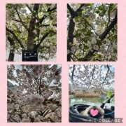 ヒメ日記 2025/04/13 00:58 投稿 黒木 シャトーペトラ