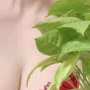 ヒメ日記 2025/07/29 13:18 投稿 黒木 シャトーペトラ