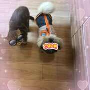 ヒメ日記 2025/12/01 15:29 投稿 黒木 シャトーペトラ