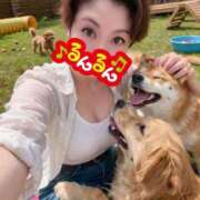 ヒメ日記 2026/03/27 01:04 投稿 黒木 シャトーペトラ