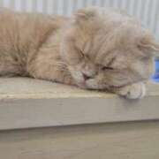 ヒメ日記 2025/05/06 22:28 投稿 ちひろ 京都回春性感マッサージ倶楽部