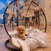 ヒメ日記 2025/06/16 10:34 投稿 ちひろ 京都回春性感マッサージ倶楽部