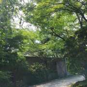 ヒメ日記 2025/07/27 11:19 投稿 ちひろ 京都回春性感マッサージ倶楽部