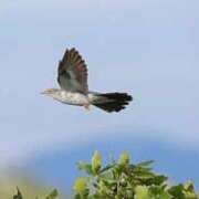 ヒメ日記 2025/09/18 08:28 投稿 ちひろ 京都回春性感マッサージ倶楽部