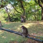 ヒメ日記 2025/09/29 10:14 投稿 ちひろ 京都回春性感マッサージ倶楽部