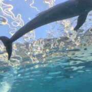 ヒメ日記 2026/01/06 08:28 投稿 ちひろ 京都回春性感マッサージ倶楽部