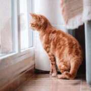 ヒメ日記 2026/02/22 23:18 投稿 ちひろ 京都回春性感マッサージ倶楽部