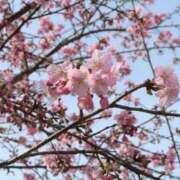 ヒメ日記 2026/03/20 12:28 投稿 ちひろ 京都回春性感マッサージ倶楽部