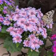 ヒメ日記 2026/03/30 10:21 投稿 ちひろ 京都回春性感マッサージ倶楽部