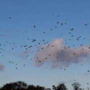 ヒメ日記 2026/04/07 09:58 投稿 ちひろ 京都回春性感マッサージ倶楽部