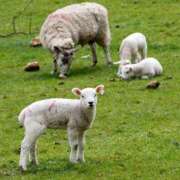 ヒメ日記 2026/04/13 10:28 投稿 ちひろ 京都回春性感マッサージ倶楽部