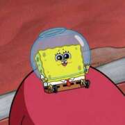 ヒメ日記 2024/12/22 13:34 投稿 そら 所沢東村山ちゃんこ