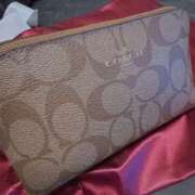 ヒメ日記 2024/12/26 00:22 投稿 そら 所沢東村山ちゃんこ