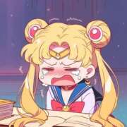 ヒメ日記 2024/12/26 21:07 投稿 そら 所沢東村山ちゃんこ