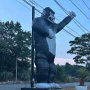 ヒメ日記 2025/08/31 18:55 投稿 はるか 浜松人妻援護会