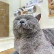 ヒメ日記 2025/10/10 07:36 投稿 はるか 浜松人妻援護会