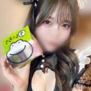 ヒメ日記 2025/02/24 13:40 投稿 しゅう アメリカンクリスタル