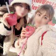 ヒメ日記 2025/04/24 16:55 投稿 しゅう アメリカンクリスタル