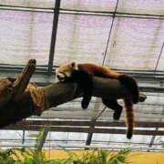 ヒメ日記 2024/12/23 20:31 投稿 生田　ほたる NADIA京都店