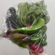 ヒメ日記 2025/12/13 20:30 投稿 生田　ほたる NADIA京都店