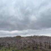 ヒメ日記 2025/04/26 12:00 投稿 みほ ナイスレディ