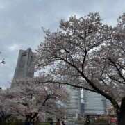 ヒメ日記 2025/04/27 12:00 投稿 みほ ナイスレディ