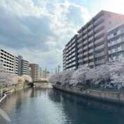 ヒメ日記 2025/05/02 12:00 投稿 みほ ナイスレディ