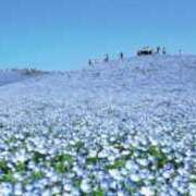 ヒメ日記 2025/05/04 12:03 投稿 みほ ナイスレディ