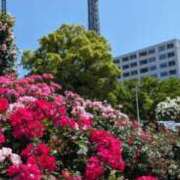 ヒメ日記 2025/05/06 12:01 投稿 みほ ナイスレディ