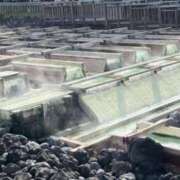 ヒメ日記 2025/05/09 12:00 投稿 みほ ナイスレディ