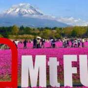 ヒメ日記 2025/05/10 12:00 投稿 みほ ナイスレディ