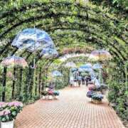 ヒメ日記 2025/06/10 12:00 投稿 みほ ナイスレディ