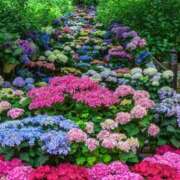 ヒメ日記 2025/06/14 12:00 投稿 みほ ナイスレディ