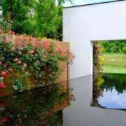 ヒメ日記 2025/06/17 12:00 投稿 みほ ナイスレディ