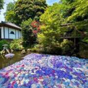 ヒメ日記 2025/07/06 12:30 投稿 みほ ナイスレディ