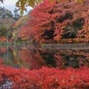 ヒメ日記 2025/11/11 12:30 投稿 みほ ナイスレディ