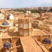 ヒメ日記 2025/11/12 12:30 投稿 みほ ナイスレディ