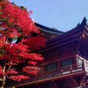 ヒメ日記 2025/11/14 12:30 投稿 みほ ナイスレディ