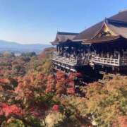 ヒメ日記 2025/11/16 12:00 投稿 みほ ナイスレディ