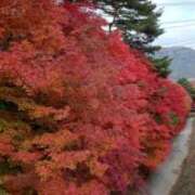 みほ 紅葉 ナイスレディ